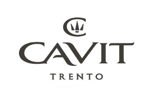 https://www.cavit.it/